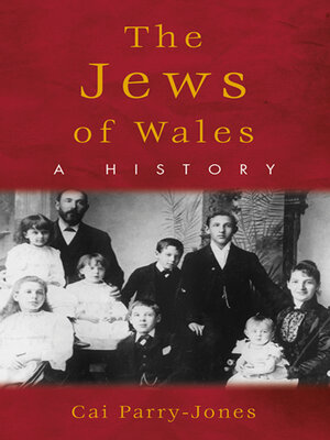 cover image of The Jews of Wales